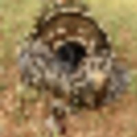 3827646c-e93c-48ce-8b78-b9972db818f2__resize-thumb