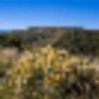 Papoulis Canyon Ranch images 3