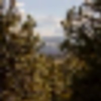 Williford Ranch images 3