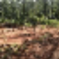 38__resize-thumb