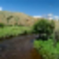 Tomichi Creek Farm Ranch images 2