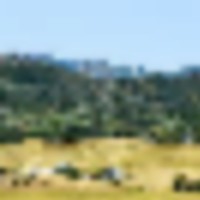 Ski Town Ranch images 2