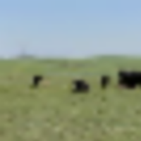 Wright s Farm and Ranch images 1