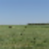 Wright s Farm and Ranch images 2