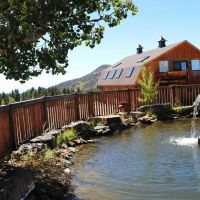 Grey Wolf Resort