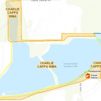 Charlie Capps WMA 12,695-acres turkey & deer hunting land in Rosedale, MS