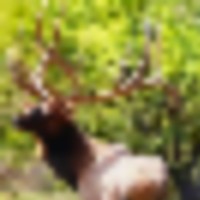 3__resize-thumb