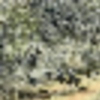 3f6c46d6-982c-4fec-b06a-b63f0021d72b__resize-thumb