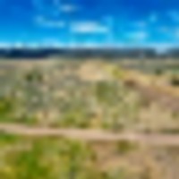 41.163 Acres in San Luis CO images 4