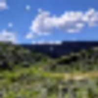 Papoulis Canyon Ranch images 5