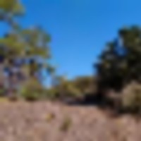Bird Point at Indian Springs images 2