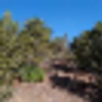 Bird Point at Indian Springs images 3