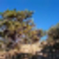 Bird Point at Indian Springs images 4
