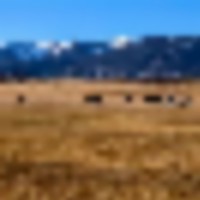 The Kuiper Ranch images 2