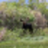 The Kuiper Ranch images 4
