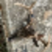 4307__resize-thumb