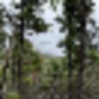 Tract 27 Spanish Peaks Ranch Estates Aguilar CO 81020 images 4