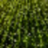 Two Rivers Farm images 5