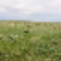 Hickert Ranch images 2