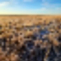 Affordable Parcel of CRP with Mountain Views Close Proximity to Denver Metro images 2