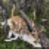 451__resize-thumb