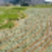 Phillips Creek Yampa Ranch images 4
