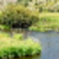Phillips Creek Yampa Ranch images 5