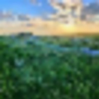 Potential Building Site With Pasture And Amazing Views