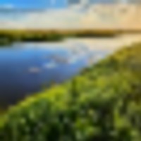 Potential Building Site With Pasture And Amazing Views images 4