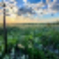 Potential Building Site With Pasture And Amazing Views images 5