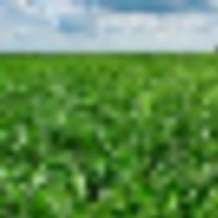 303.4 Acre Farm Near Cheraw CO For Sale images 1