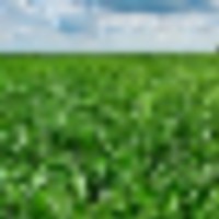 303.4 Acre Farm Near Cheraw CO For Sale