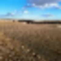 Prime Tillable Cropland with Mostly Class II Soils