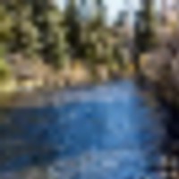 Lake Fork River Ranch images 2