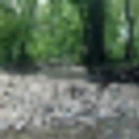 468052_10100180978360022_575148100_o__resize-thumb