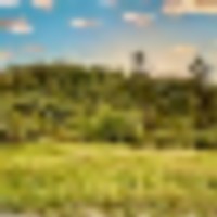 Pine Spring Ranch Splendor