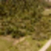 Pine Spring Ranch Splendor images 3