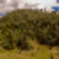 Pine Spring Ranch Splendor images 4