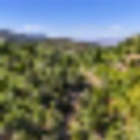 Trinity Ranch images 3