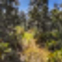 Trinity Ranch images 4