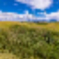 Little Horn Ranch images 5