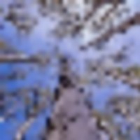 Brumley Aspen Waters Ranch images 4