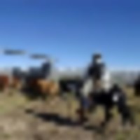Heartbar Ranch images 2