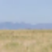 Heartbar Ranch images 4