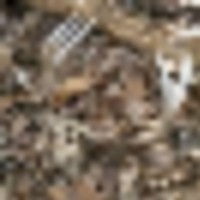 4_89__resize-thumb