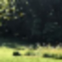 4ec22913-6ea2-4427-9200-a435d8ce5eaa__resize-thumb