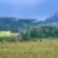 Yalgo Ranch images 2