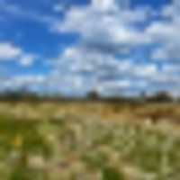 25 Acres of Undeveloped Land for Sale in Mancos CO images 5