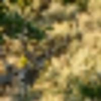 Top of the World Ranch images 5