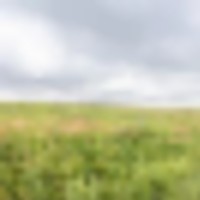 Aregood Family Ranch images 2